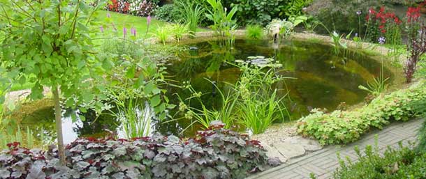 gradina frumoasa cu lac